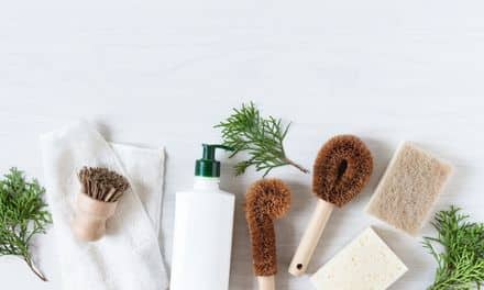 TerraNova Eco Sponges at Costco – Limited Time!
