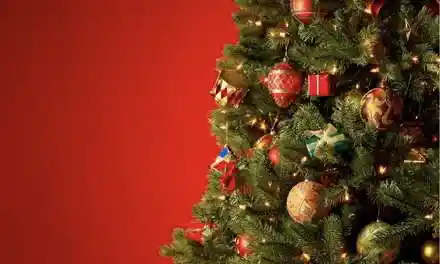 pre-lit christmas tree at Costco