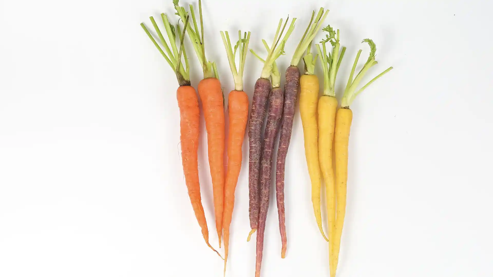 Cal-Organic Rainbow Carrots 5 lbs 1 Rainbow Carrots at Costco