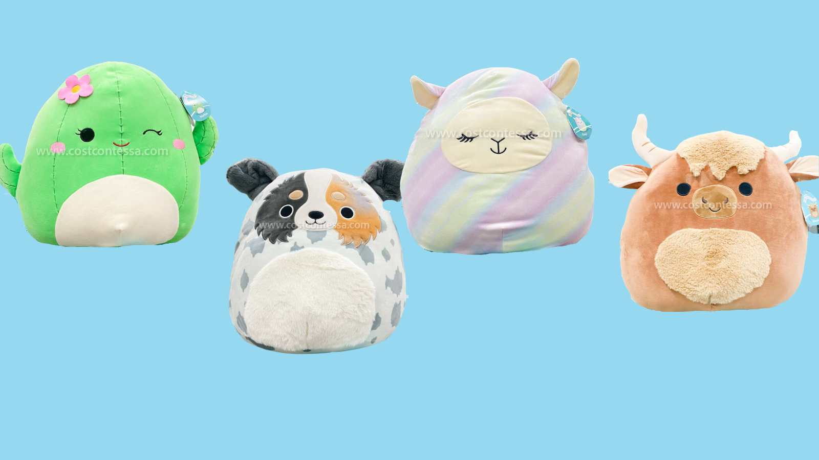 15 Best Squishmallow Storage Ideas (2023 Updated)