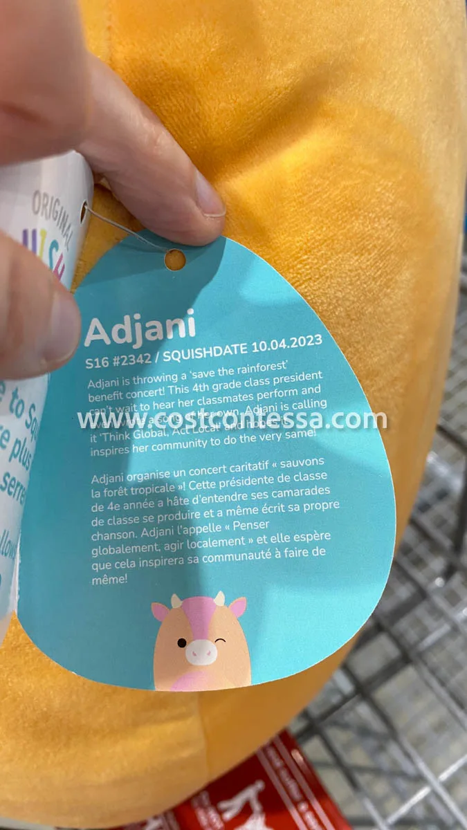 S16 #2342 Costco Squishmallows 2024