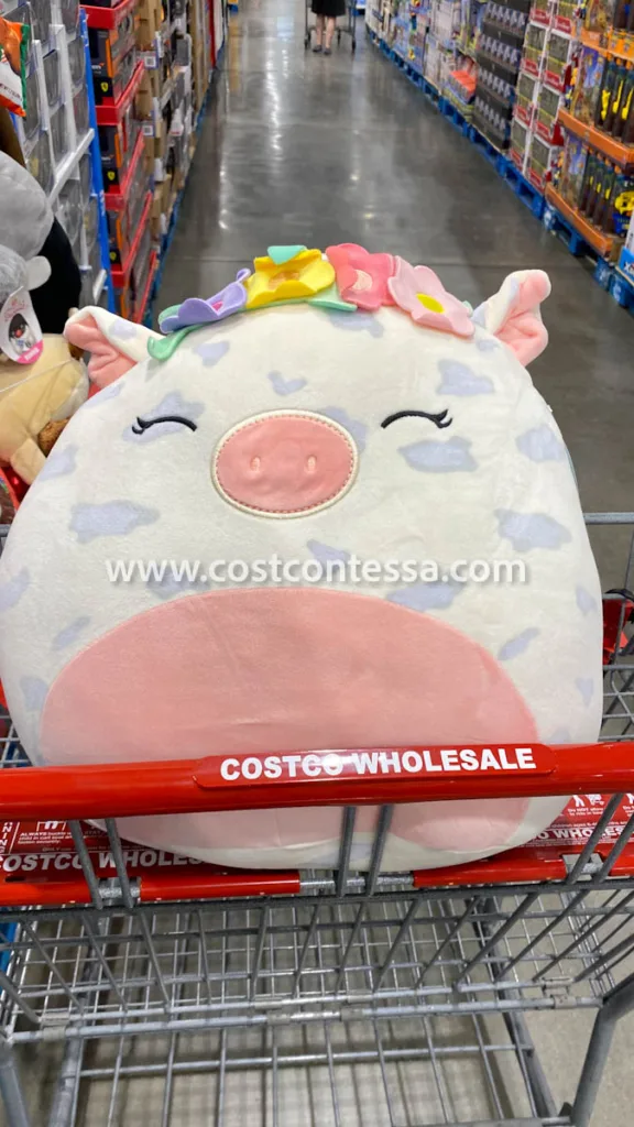 Squishmallows Rosie